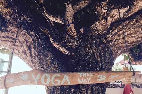 yogathisway beratung für yogalehrer